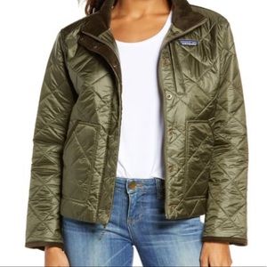 Patagonia Back Pasture Jacket in Basin Green